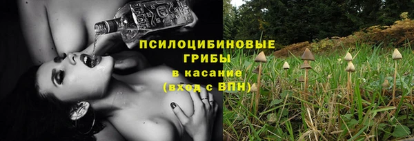 тгк Абинск
