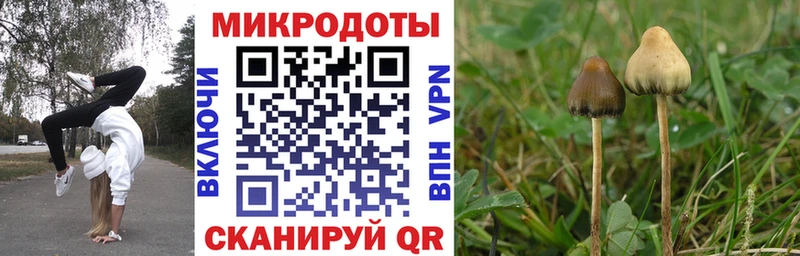 Галлюциногенные грибы мухоморы Красный Сулин