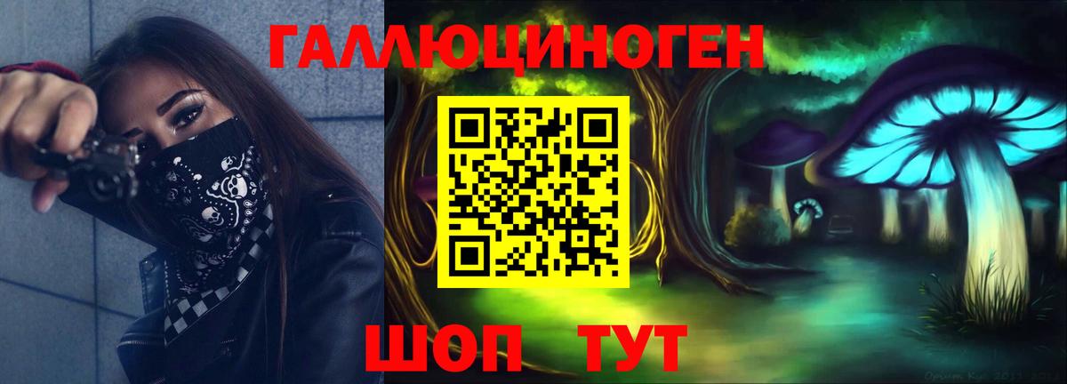 Галлюциногенные грибы Psilocybine cubensis  Вход с VPN  Псилоцибиновые грибы мицелий  Красный Сулин 